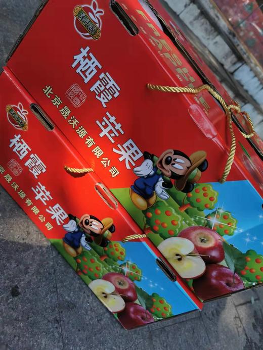 烟台富士苹果-米奇 商品图3