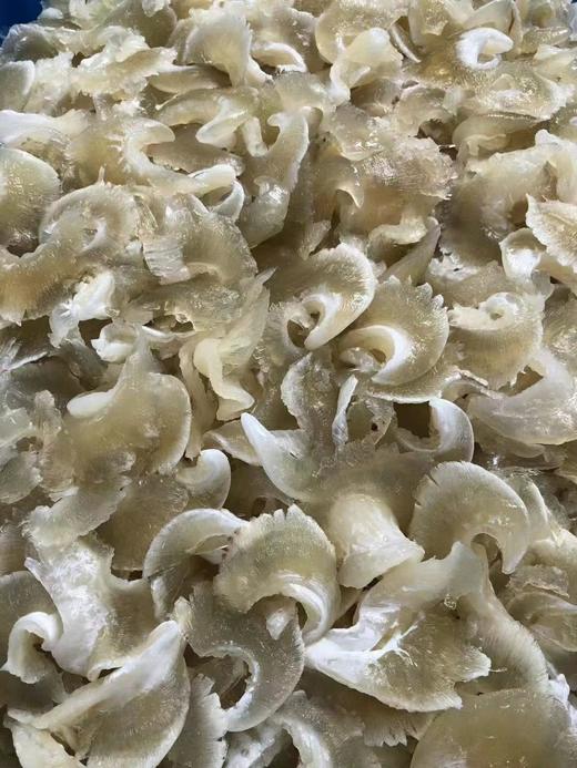 小金钩鱼翅250克/盒 商品图4