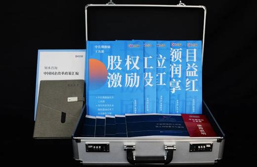 国企混改四大工具箱 商品图2