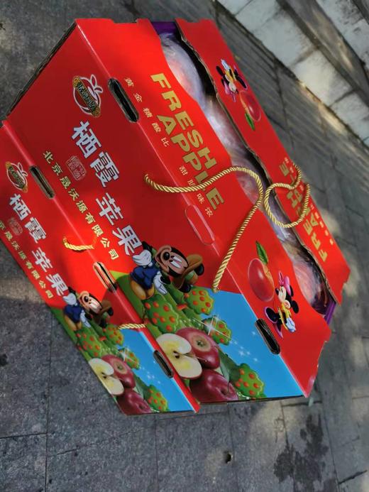 烟台富士苹果-米奇 商品图5