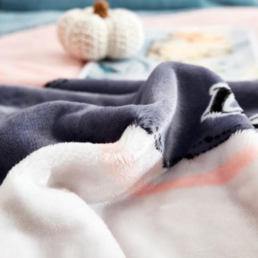 彼加曼 哈迪斯雪棉绒毯BGM-XD201 /180*200cm【CZ】 商品图3