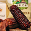 玉米兄弟黑玉米 糯甜 商品缩略图7