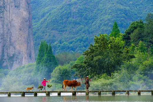 诗画洞头&丽水——瓯江帆影•海岛星空•松阳古村采风6天 商品图14