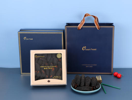 海参蓝色大礼盒【单拍礼盒不发货】【配合海参一起下单】 商品图1