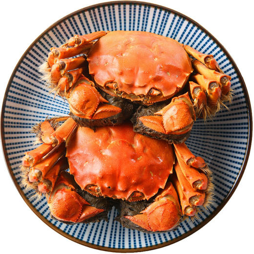 【礼券】阳澄联合 大闸蟹礼券2888型公4.0两 母3.0两 4对螃蟹券(T) 商品图3