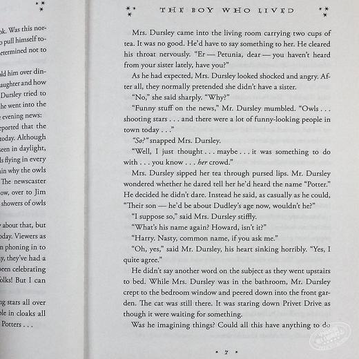 预售 哈利波特与魔法石 1 英文原版 Harry Potter and the Sorcerer's Stone 哈里 JK罗琳 首部作品 英语正版 商品图4