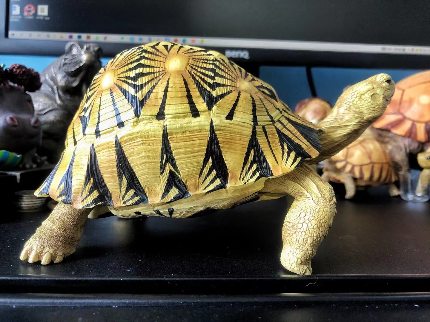 精品模型满花黑背辐射22cm辐射陆龟模型栩栩如生不犯法