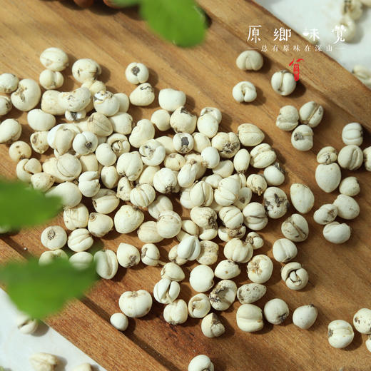 野生川贝母（成都仓库-顺丰快递）| 18g，38g，来自四川阿坝，生产者：松潘藏民【合作生产，公平贸易】 商品图8