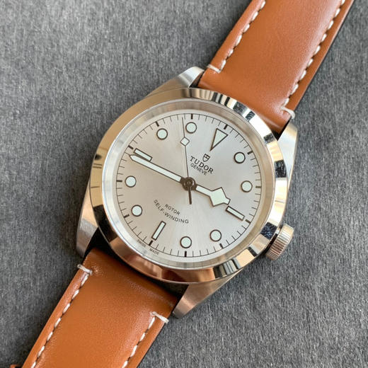 帝舵碧湾M79540系列 男士腕表 41mm 商品图8