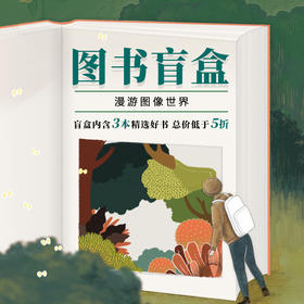 新经典盲盒  漫画盲盒 冷门好书盲盒 电影人盲盒 惊喜礼盒