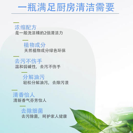 日本进口-花王洗洁精-果蔬餐具浓缩清洗剂240ml会员6折 商品图3