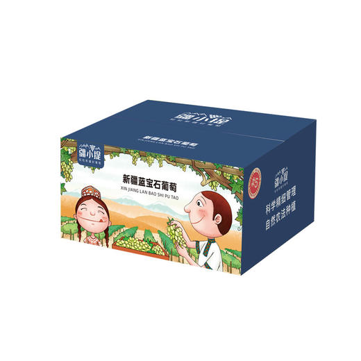 疆小提 新疆 蓝宝石葡萄 口口尽兴 商品图5