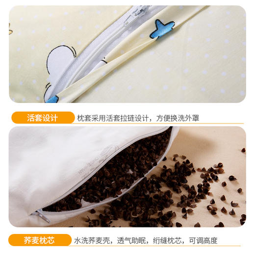 龙之涵儿童全棉荞麦壳枕头 商品图4