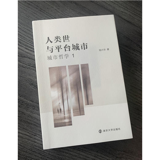 人类世与平台城市：城市哲学1 商品图7