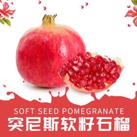 突尼斯软籽石榴 礼盒装