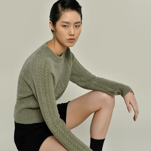 女士2021新款纯山羊绒衫圆领短款绞花套头衫 商品图1
