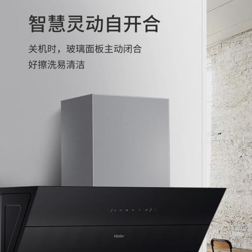 海尔（Haier）烟机CXW-219-C2906 商品图2