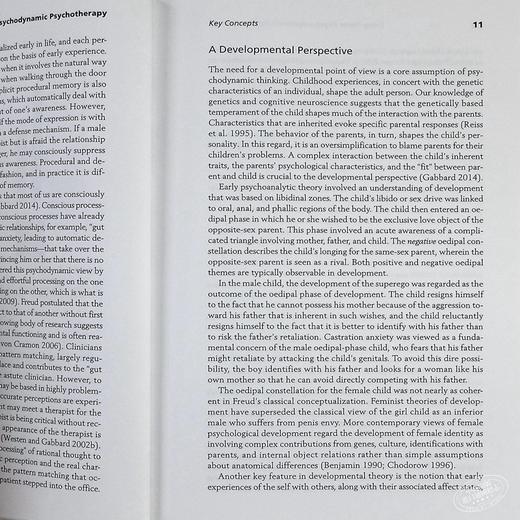 【中商原版】长程心理动力学心理治疗 基础读本 英文原版 Long Term Psychodynamic Psychotherapy Glen O Gabbard 商品图6