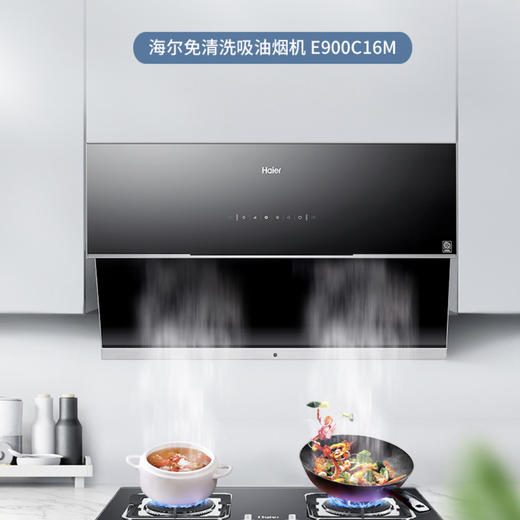 海尔（Haier）烟机CXW-219-E900C16M 商品图0