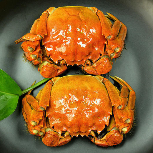 【买几只送几只】大闸蟹螃蟹 鲜美膏黄 味美色佳 鲜活速达 新鲜打捞！冷链包邮！ 商品图7