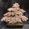 粉水晶桃花树（含专门定制和合福） 商品缩略图0