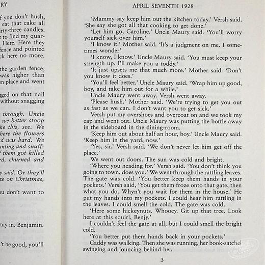 【中商原版】喧哗与骚动 英文原版 The Sound and the Fury 威廉 福克纳获奖 William Faulkner Vintage Classics 经典小说 商品图5