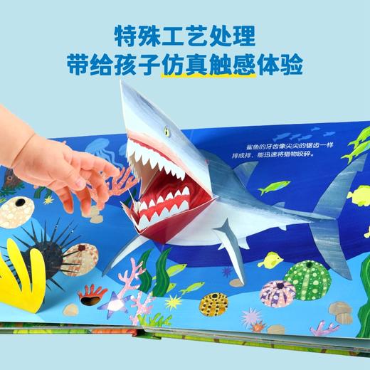 宝宝的动物朋友（套装共4册） 商品图4