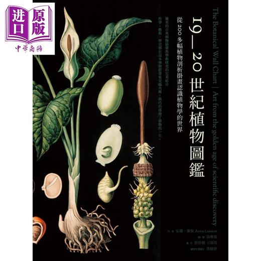 预售 【中商原版】19至20世纪植物图鉴 从200多幅植物剖析挂画认识植物学的世界 The Botanical Wall Chart 港台原版 Anna Laurent 麦浩斯 商品图1