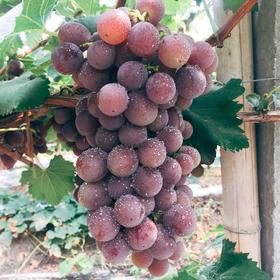  顺时养生 | 立秋 · 又到瓜果飘香季，水果您吃对了吗 