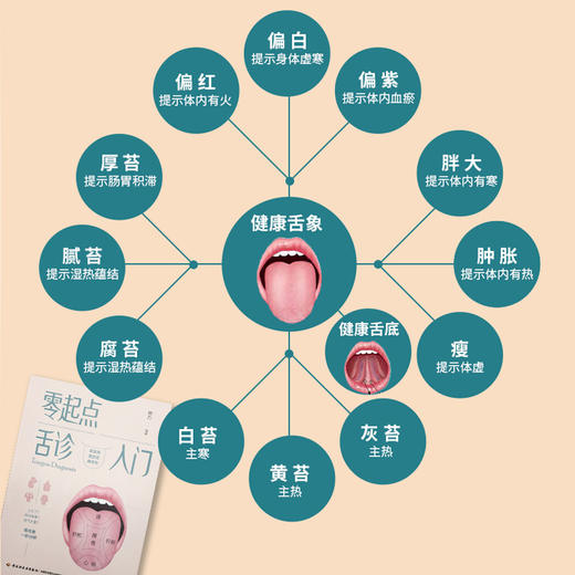 零起点舌诊入门 商品图2