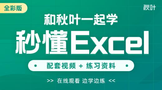 【图书配套视频】和秋叶一起学秒懂Excel（已更新完） 商品图0