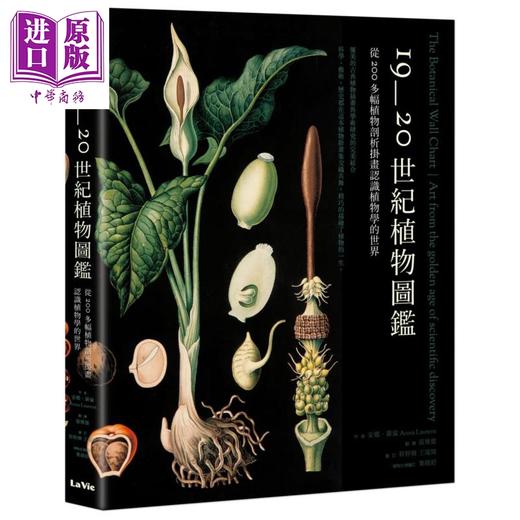 预售 【中商原版】19至20世纪植物图鉴 从200多幅植物剖析挂画认识植物学的世界 The Botanical Wall Chart 港台原版 Anna Laurent 麦浩斯 商品图0