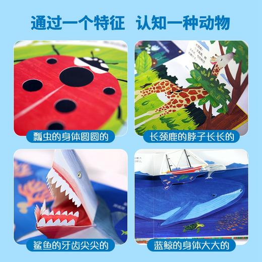 宝宝的动物朋友（套装共4册） 商品图1