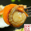 扇贝肉精选带黄 商品缩略图7