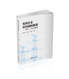 电网企业机构编制管理——理论、方法与案例