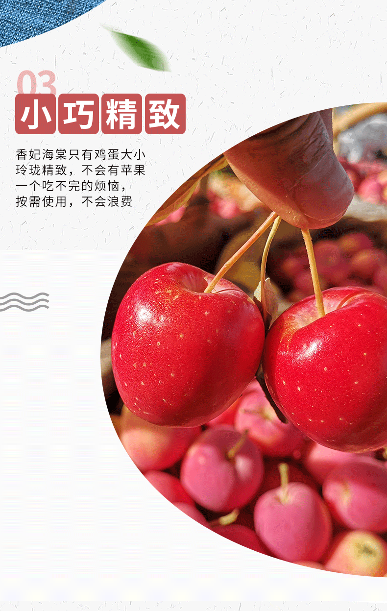 新疆香妃海棠果 4斤装