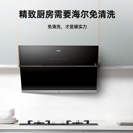 海尔（Haier）烟机CXW-219-E900C16M 商品图2