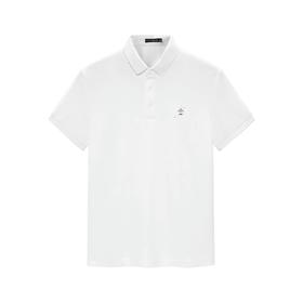 太平鸟男装 2021秋季新款POLO衫潮时尚上衣BYDBB3X02