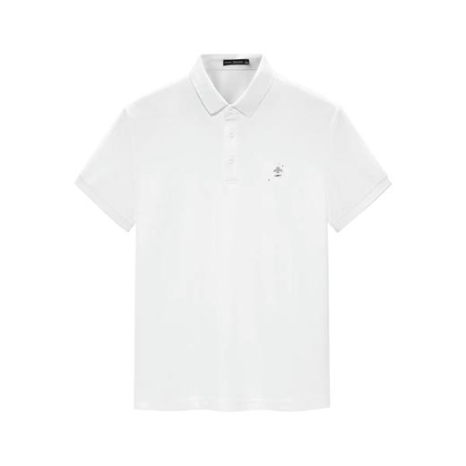 太平鸟男装 2021秋季新款POLO衫潮时尚上衣BYDBB3X02 商品图0