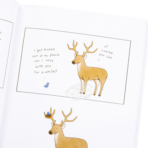 我可以咬一口吗 英文原版绘本儿童书 lobster is the best medicine你今天真好看系列Liz Climo 蠢萌画风  英语绘本 漫画书 商品图3