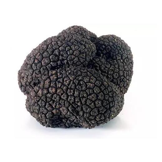 云南直发新鲜黑松露