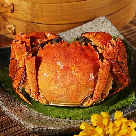 中秋爆品|阳澄之岛大闸蟹礼劵  商品图5