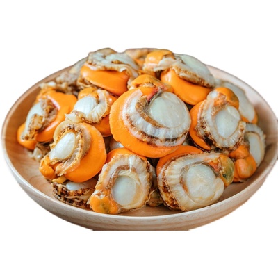 精选带黄扇贝肉t