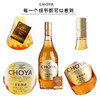 日本进口蝶矢俏雅CHOYA一年陈本格15度青梅子酒女士低度果酒720ml RDCT 商品缩略图1