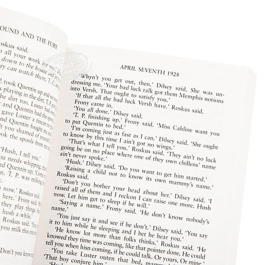 【中商原版】喧哗与骚动 英文原版 The Sound and the Fury 威廉 福克纳获奖 William Faulkner Vintage Classics 经典小说 商品图3