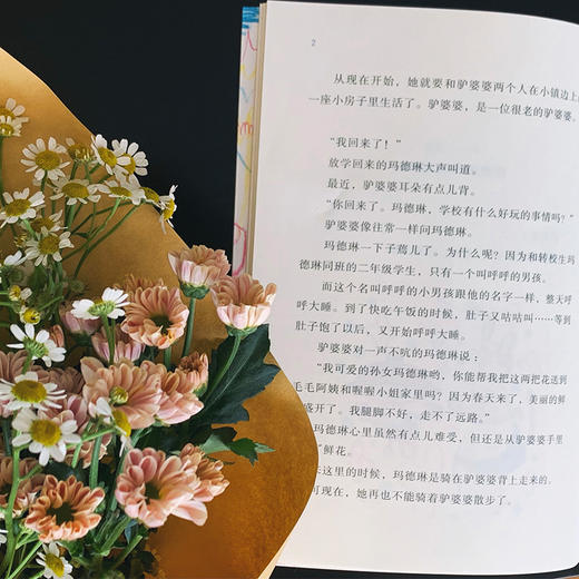 玛德琳和她的魔法蛋糕 商品图6