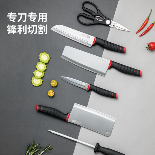 炊大皇(COOKER KING)全套厨房刀具SSDH10A 刀具十件套切片刀多用刀水果刀剪刀硅胶铲勺套装 商品图4