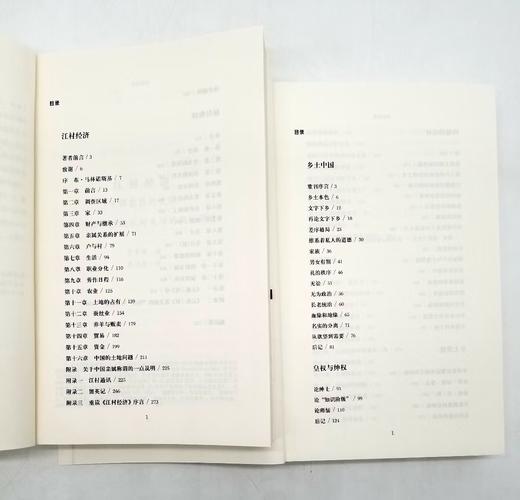 《乡土中国》（修订本）+《江村经济》（修订本），小16开，两册厚达1100多页，费孝通著，上海人民出版社2019年第7次印刷 商品图3