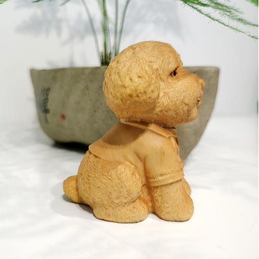 huaxin泰迪狗穿衣款黄杨摆件（单只） 商品图2