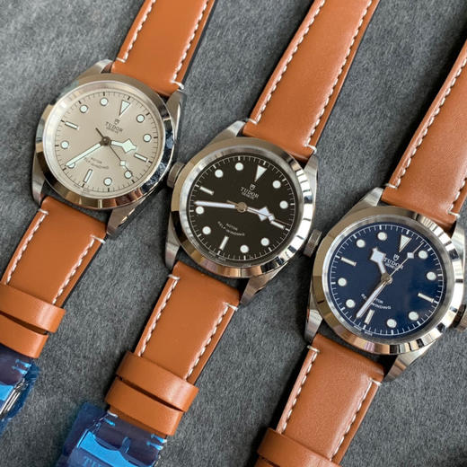 帝舵碧湾M79540系列 男士腕表 41mm 商品图9